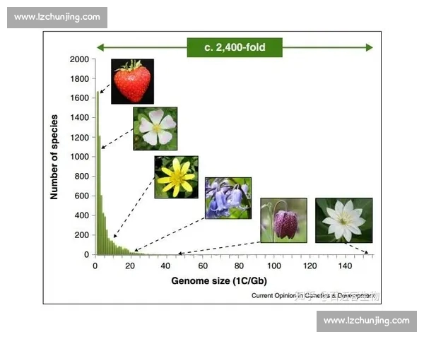 竞彩足球深度数据解析与实战投注技巧全指南提升盈利思路与风险控制策略